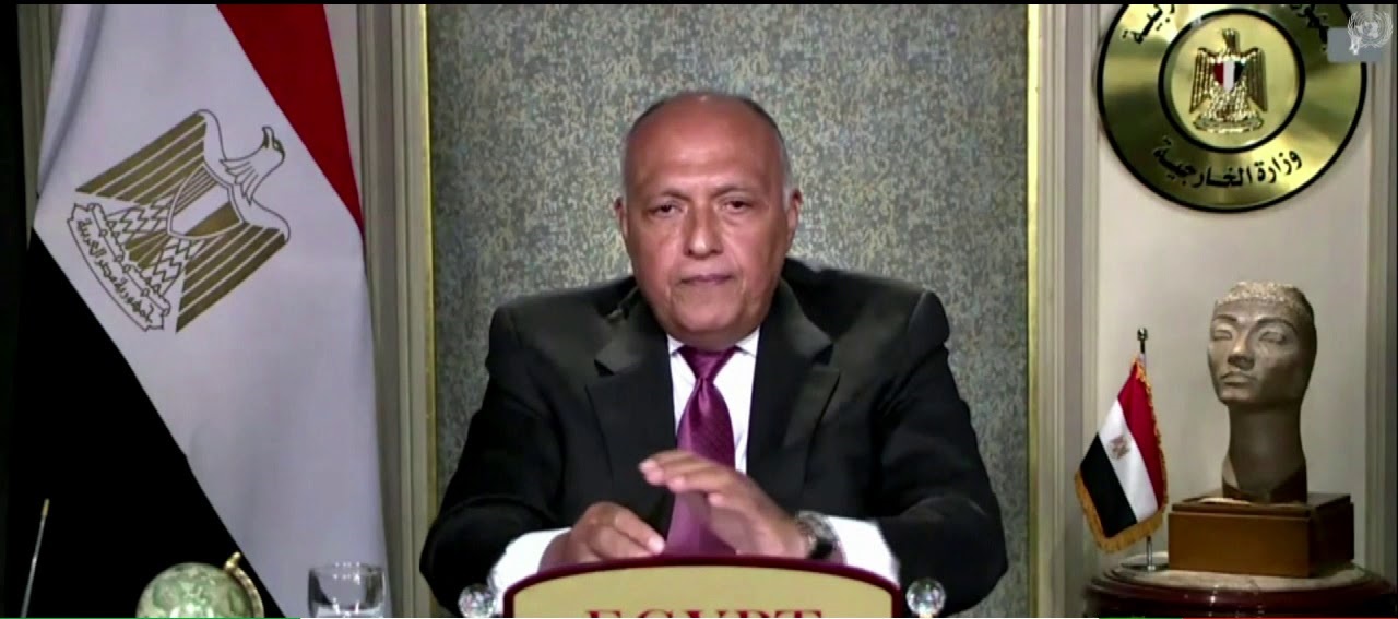 وزير الخارجية سامح شكري