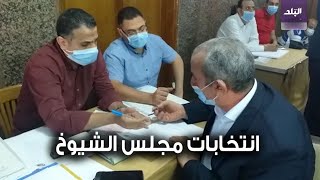 انتخابات مجلس الشيوخ بالبحيرة