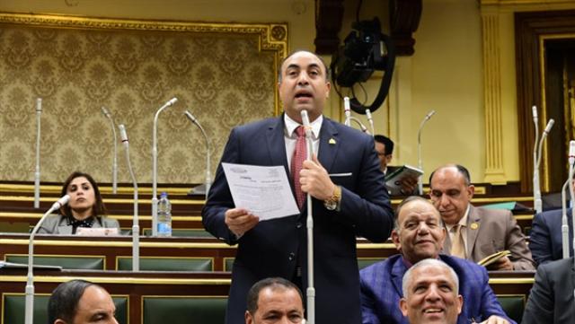 النائب خالد عبدالعزيز فهمي