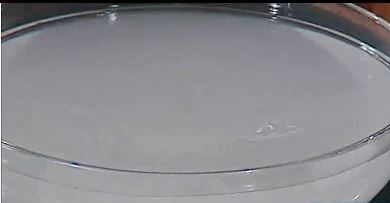 محلول نقع الطيور