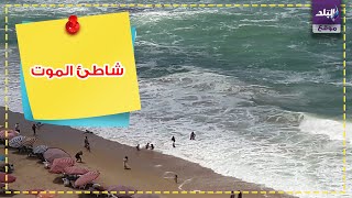 شاطئ النخيل