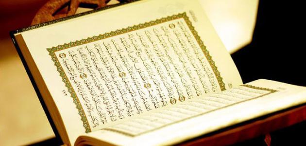 سبب عدم ذكر البسملة في أول سورة التوبة.. الإفتاء توضح 