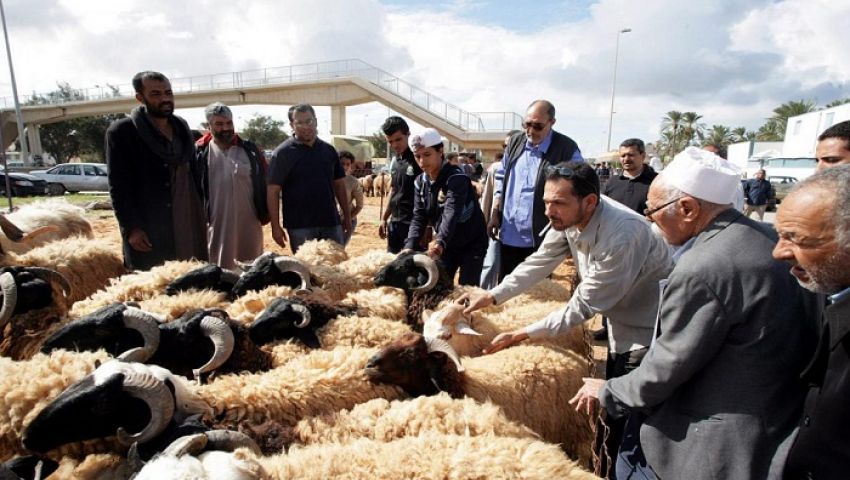 الأضاحى