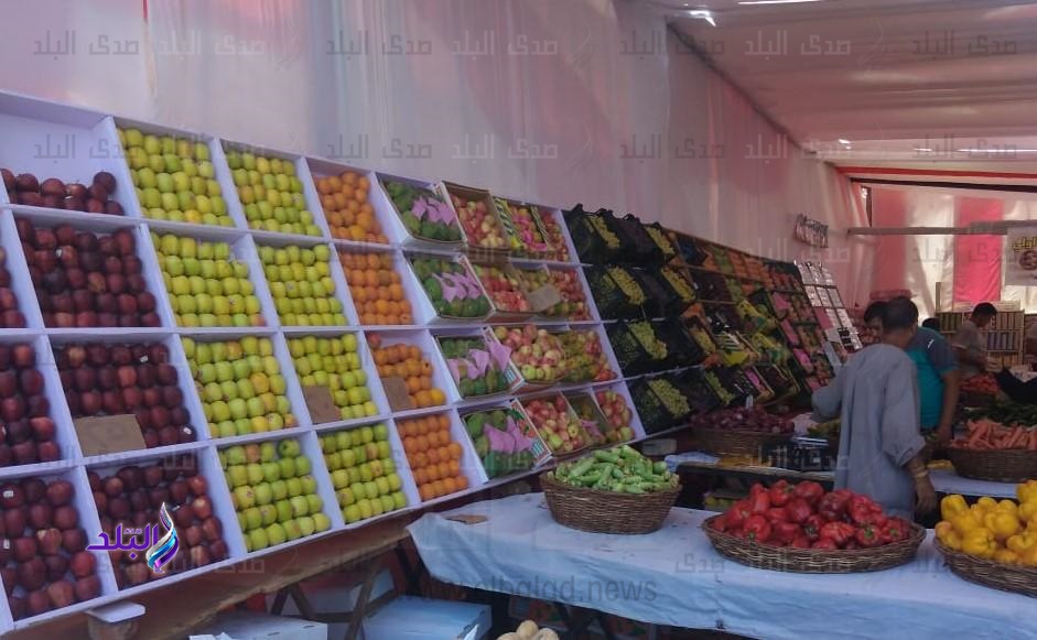  معارض السلع الأساسية وشودار اللحوم