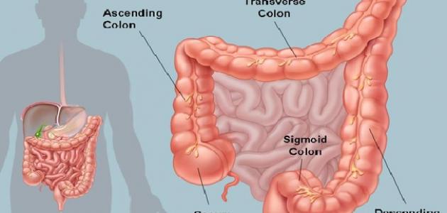 احمى نفسك من أمراض القولون بهذا النظام الغذائي