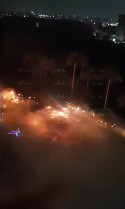 حريق يلتهم أشجار في قطعة أرض بالجيزة