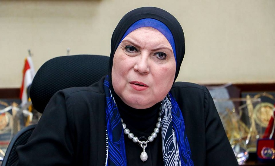 نيفين جامع، وزيرة التجارة والصناعة
