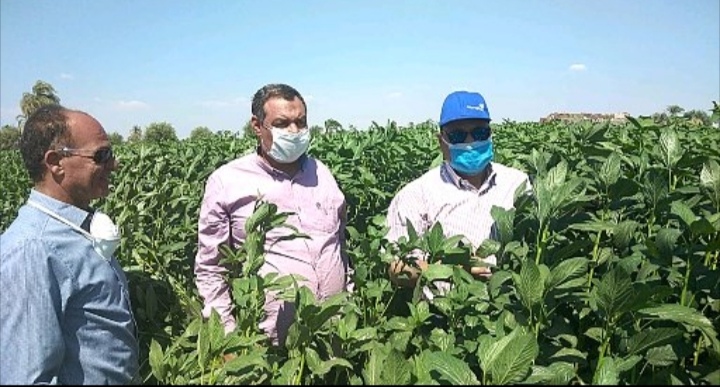 اراضي زراعية