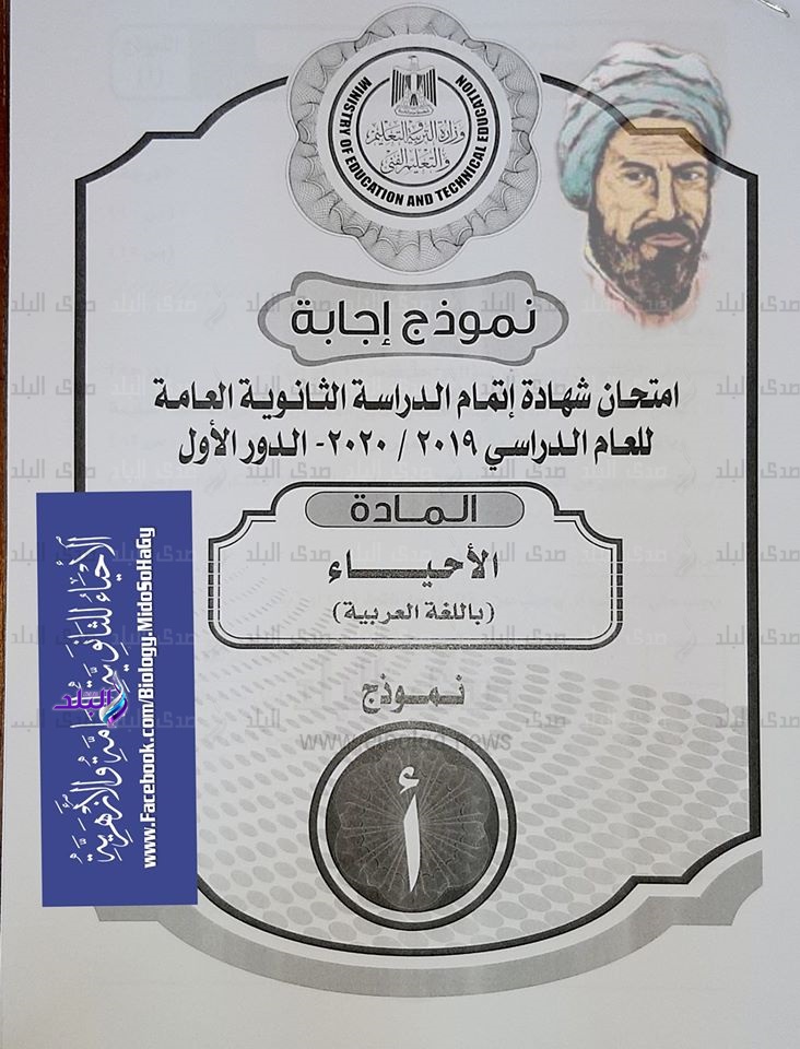 نموذج اجابة