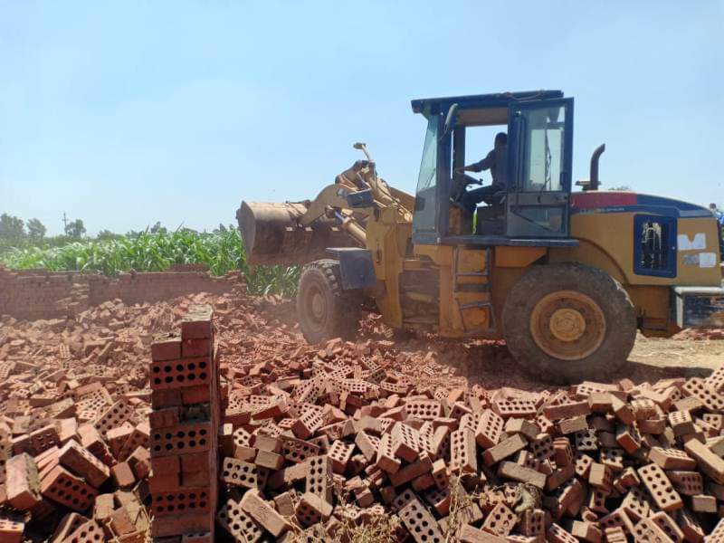 صورة ارشيقية