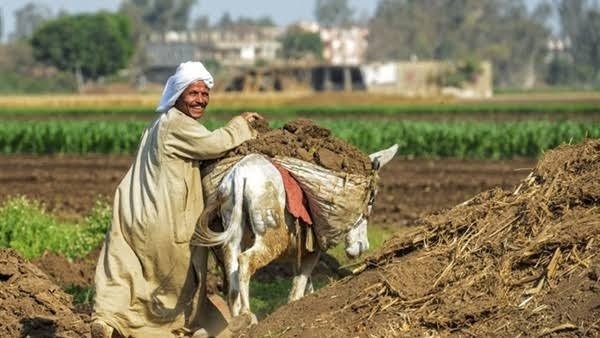 ضريبة الأطيان الزراعية