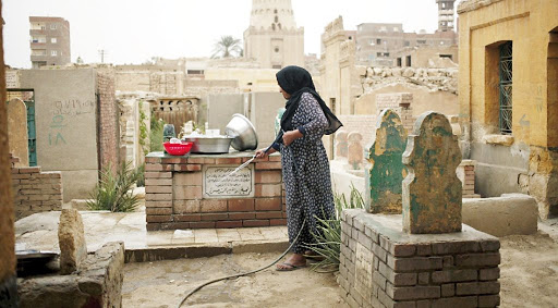 لماذا نزرع الصبار في المقابر.. دار الإفتاء تجيب