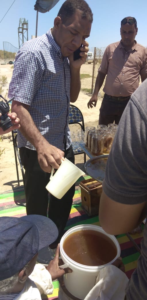 عسل المانجروف بسفاجا 