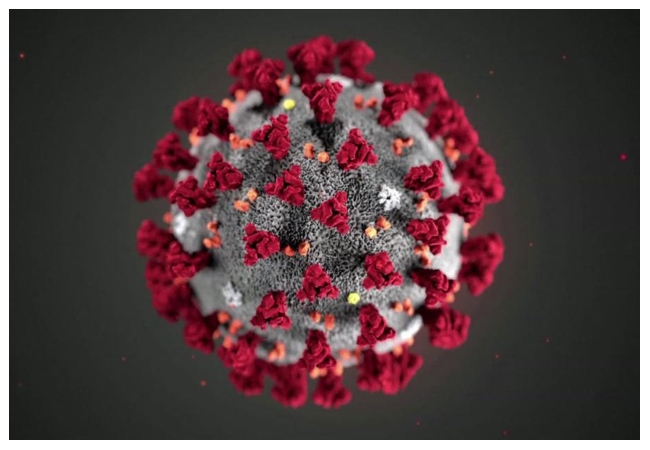 تهور شاب يتسبب في إصابة عائلته بالكامل بـ كورونا