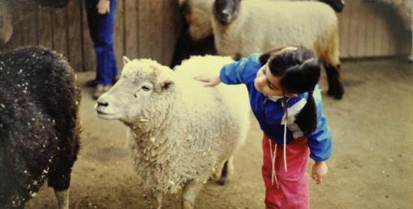 أضحية العيد في زمن كورونا