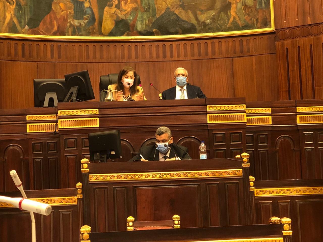 وزيرة التخطيط