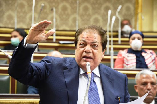النائب محمد أبو العينين 