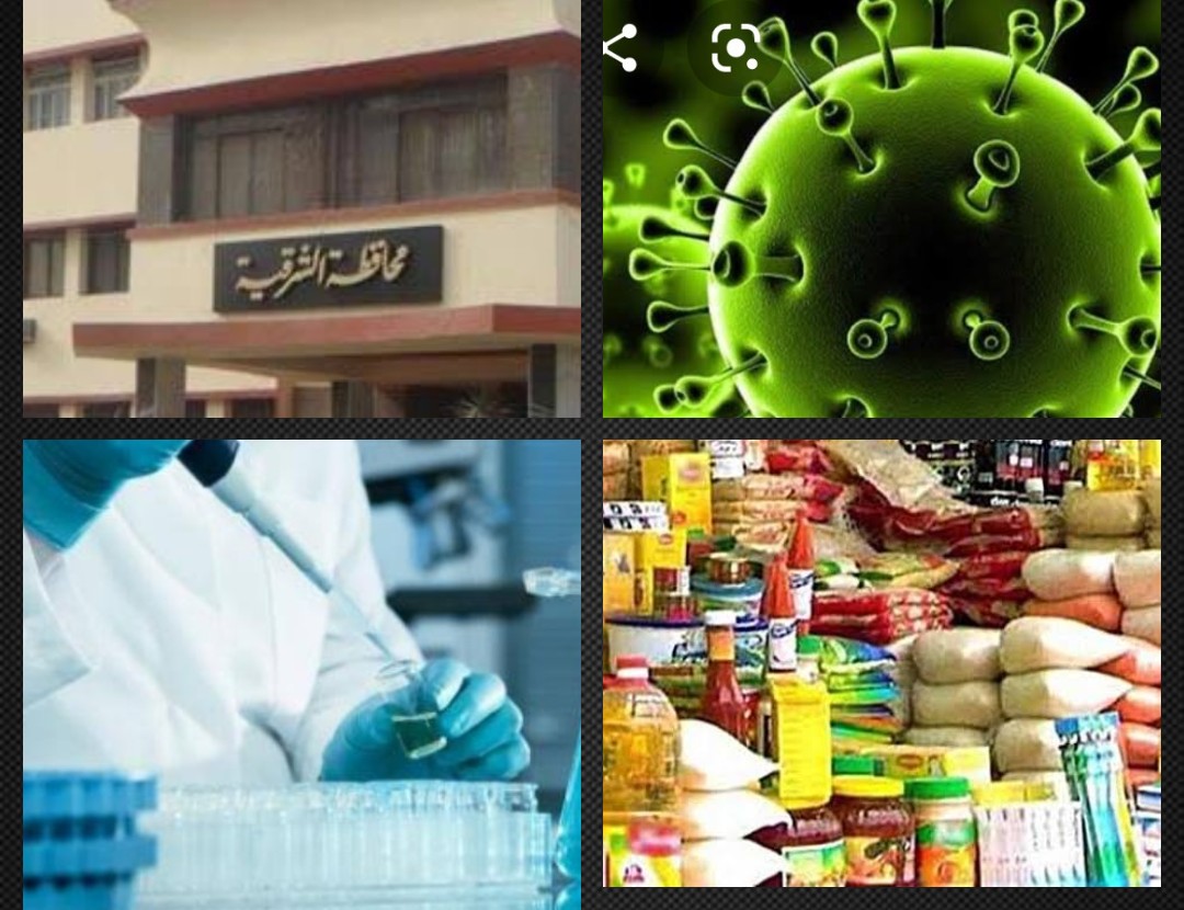 نشرة أخبار التوك شو