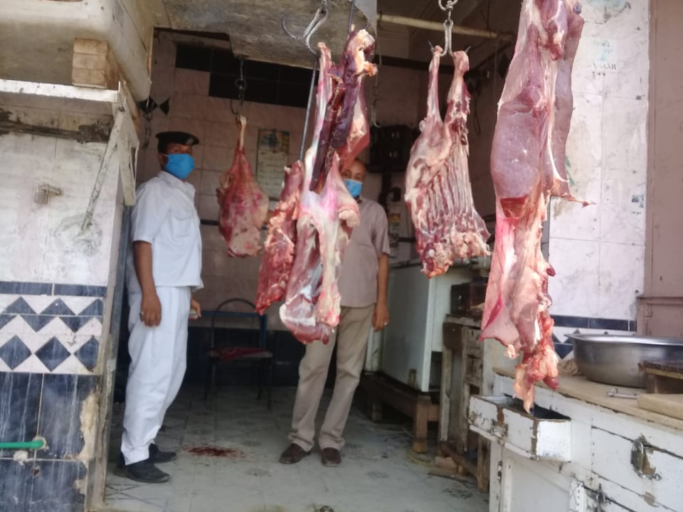 ضبط بحوم