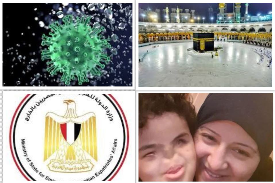 أخبار التوك شو