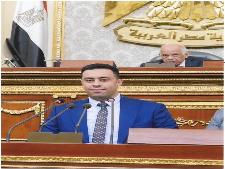 النائب أحمد فرغلي 