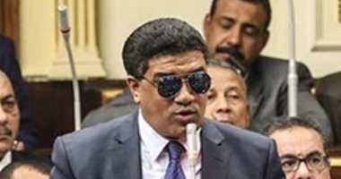 خالد حنفى عضو مجلس النواب