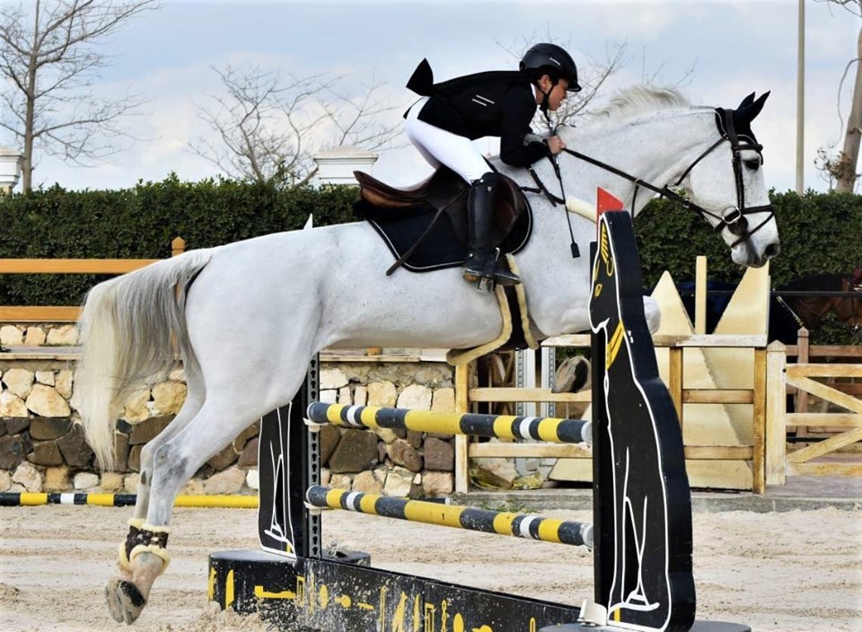 فرسان سموحة