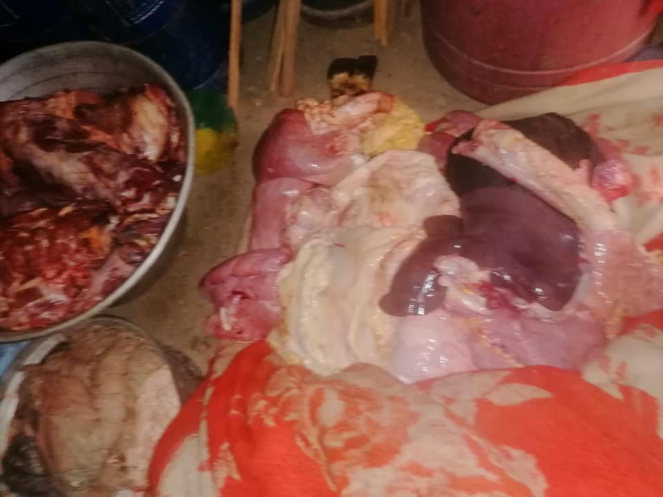 ن لحوم حمير