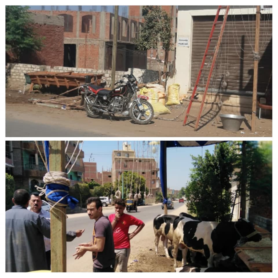 إزالة شوادر بيع الأغنام والماشية بالجيزة