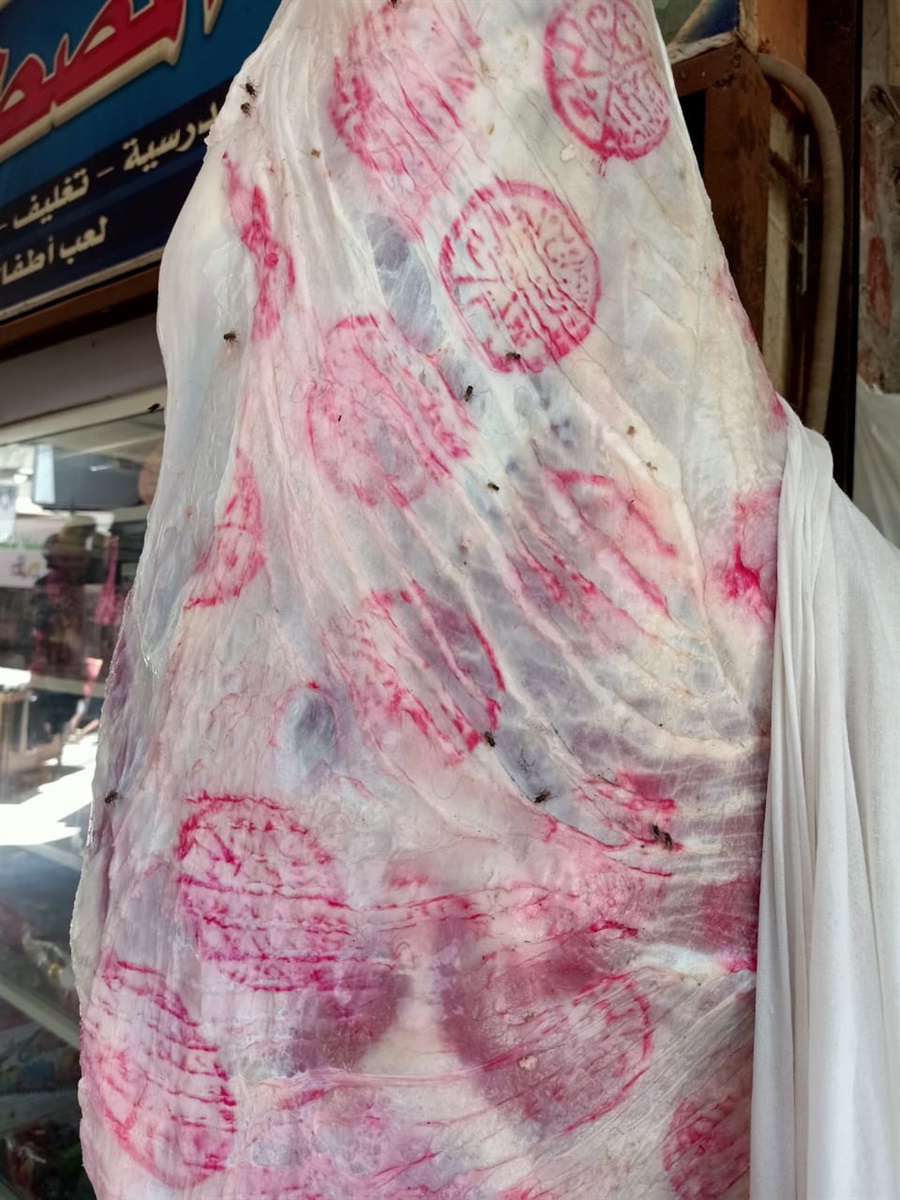 ضبط لحوم فاسدة بالجيزة