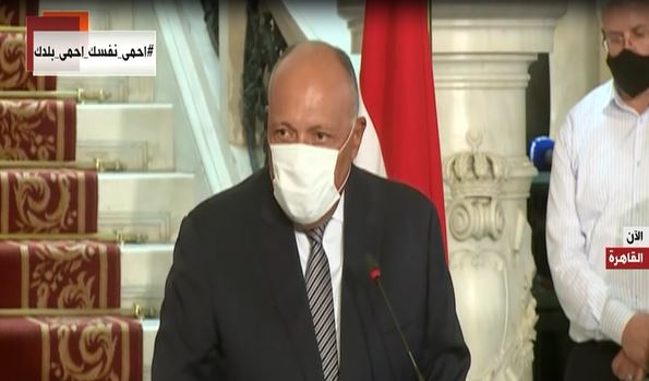 سامح شكرى، وزير الخارجية
