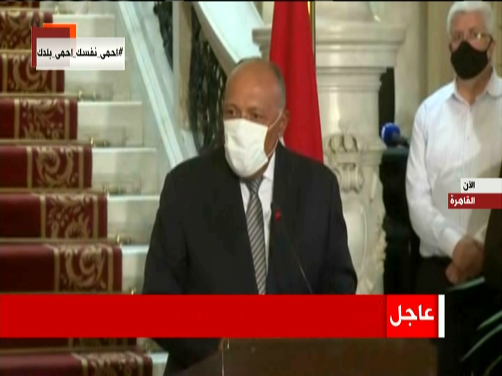 سامح شكرى ، وزير الخارجية 