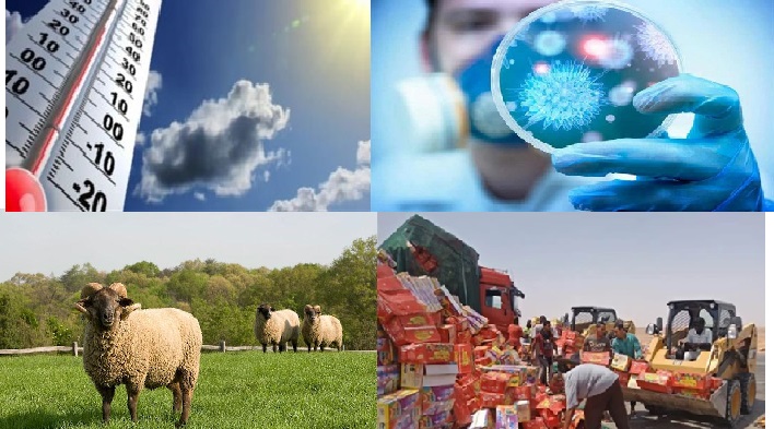 صورة الملف المجمع