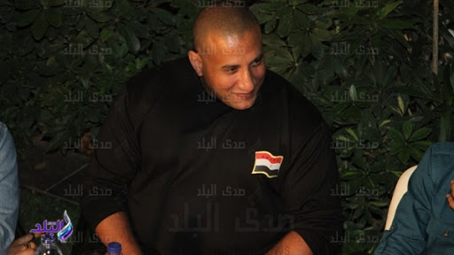 عمرو سعد 