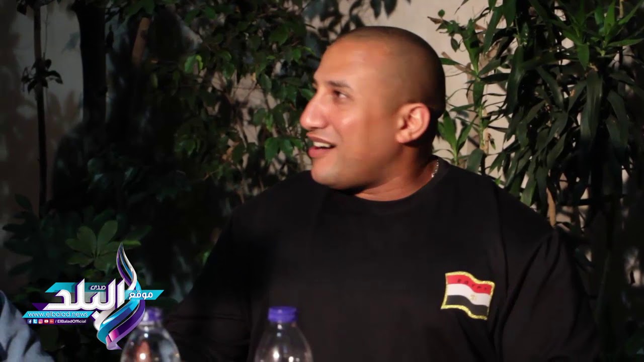 عمرو سعد 
