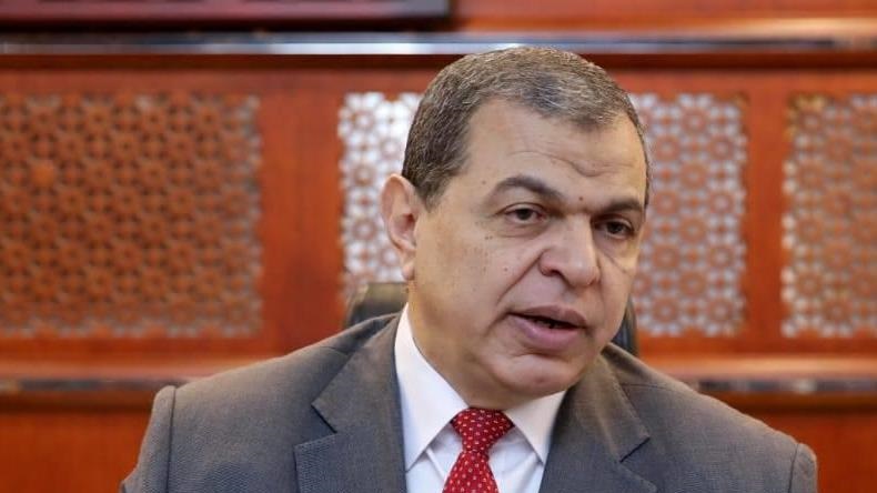 وزير القوى العاملة محمد سعفان