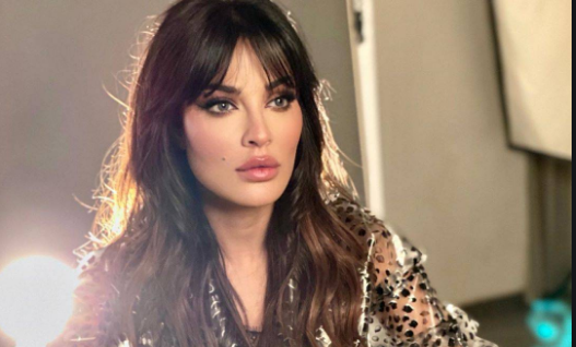 نادين نسيب نجيم