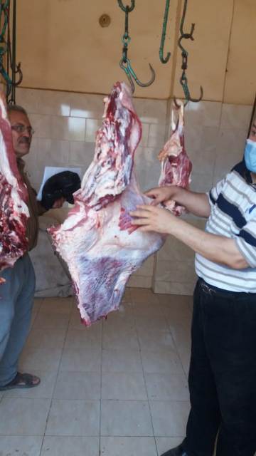 ضبط لحوم مذبوحة خارج المجازر الحكومية بالشرقية