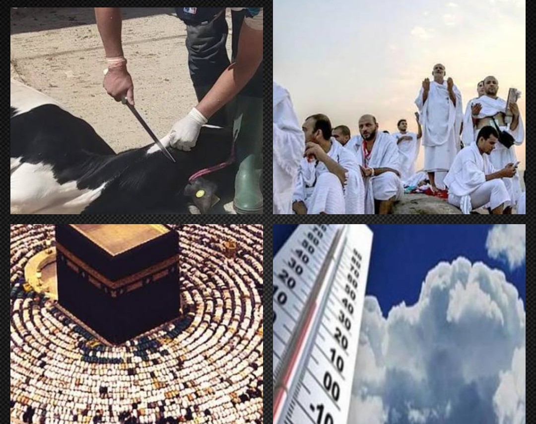 نشرة أخبار التوك شو