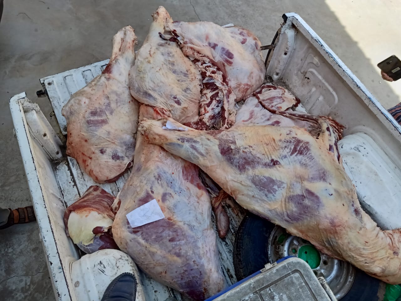 قبل ساعات من العيد"ضبط نصف طن لحوم فاسدة بدمياط
