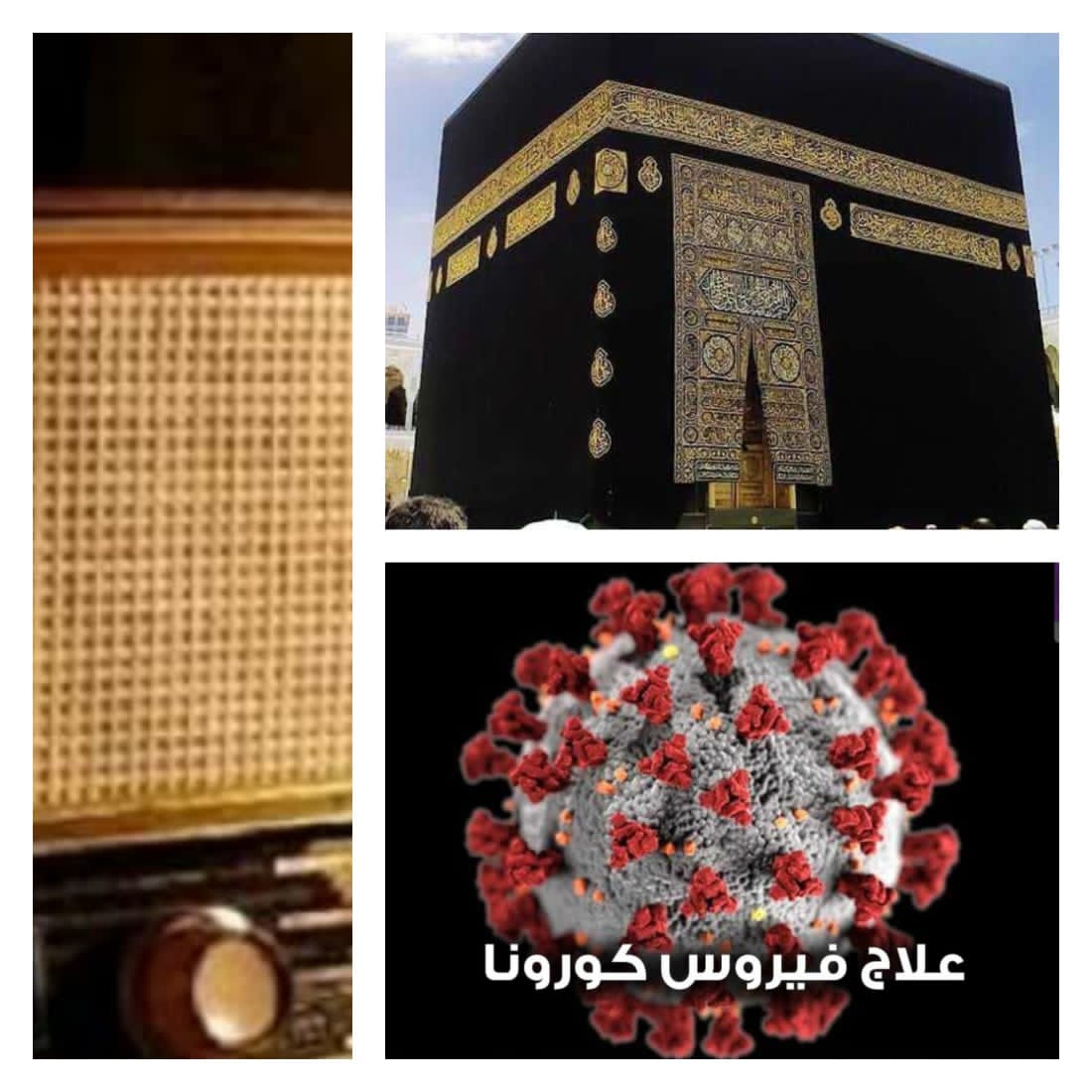أهم الأخبار