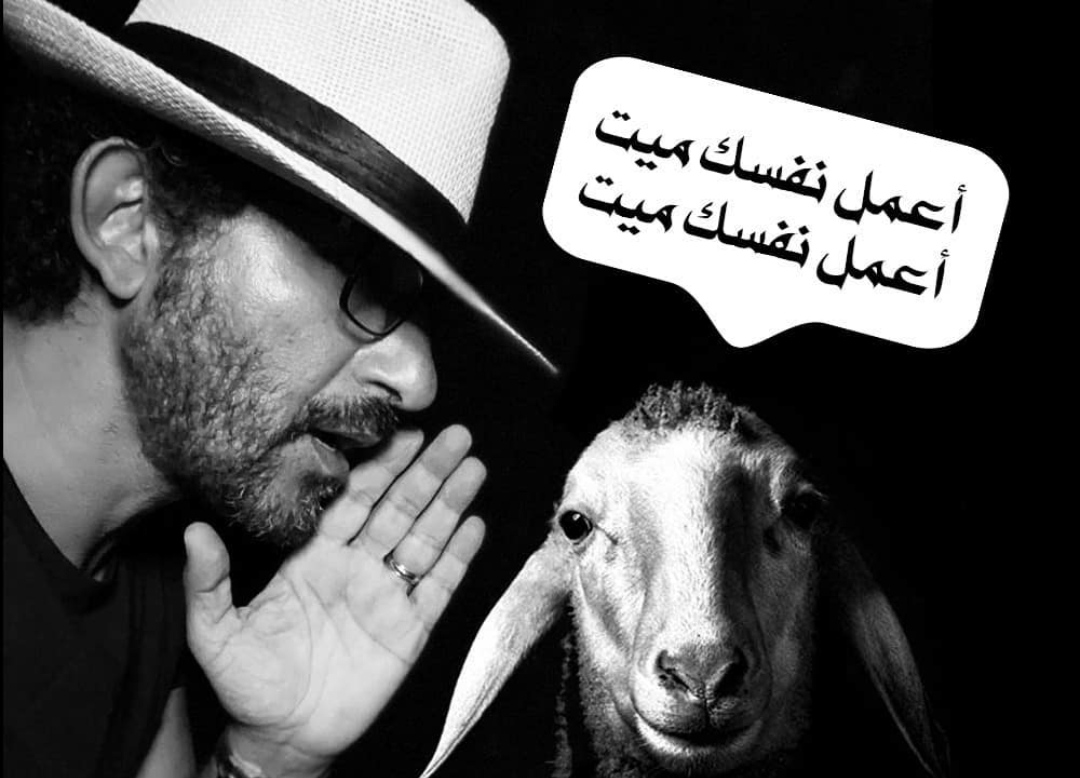 احمد حلمي