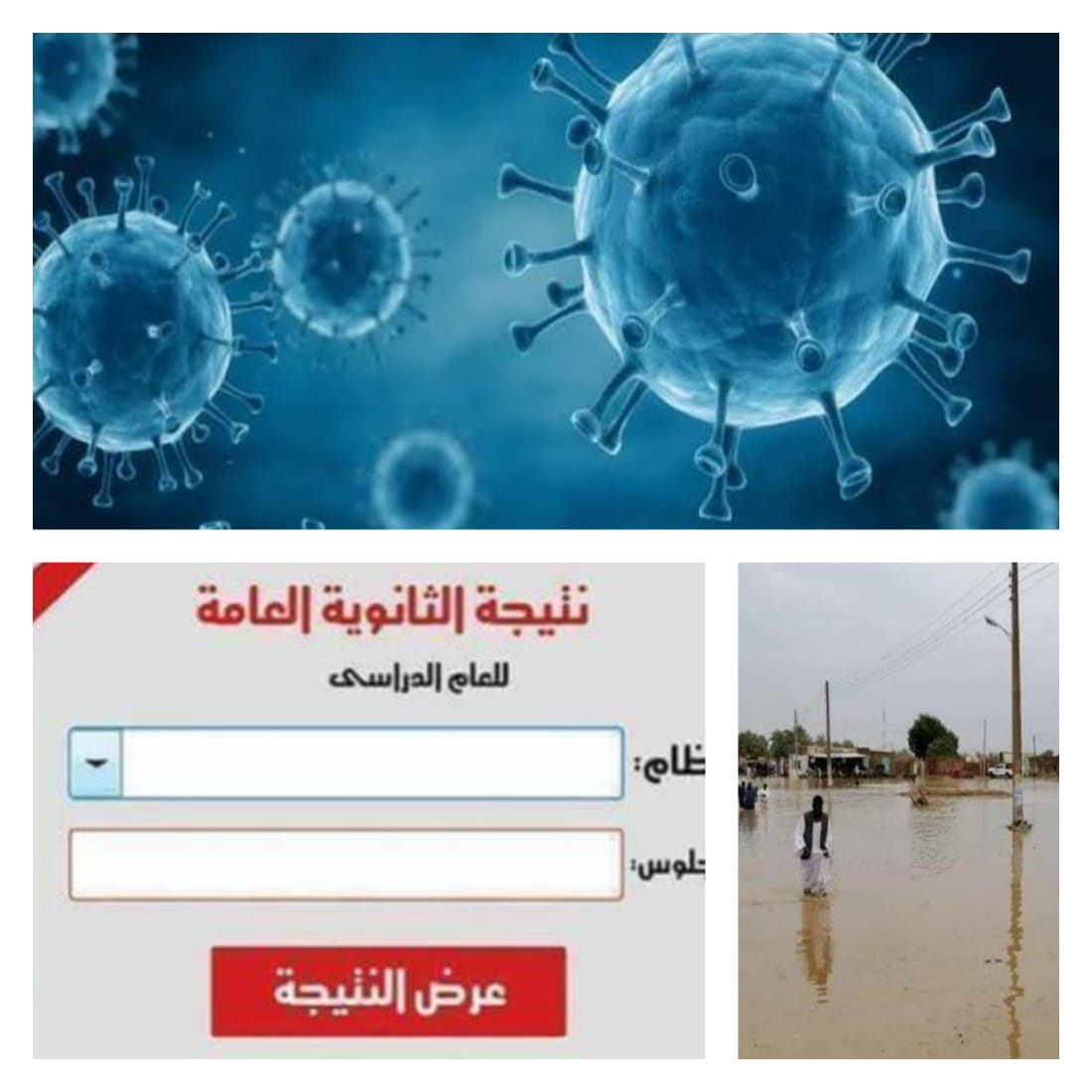 اهم الاخبار 