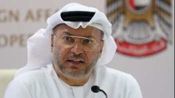 د/أنور قرقاش 
