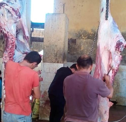 صورة ارشيفية
