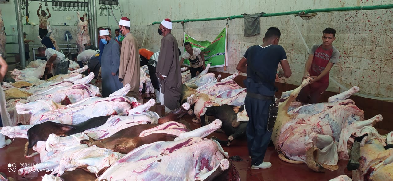 أعمال الذبح والتجهيز على قدم وساق 