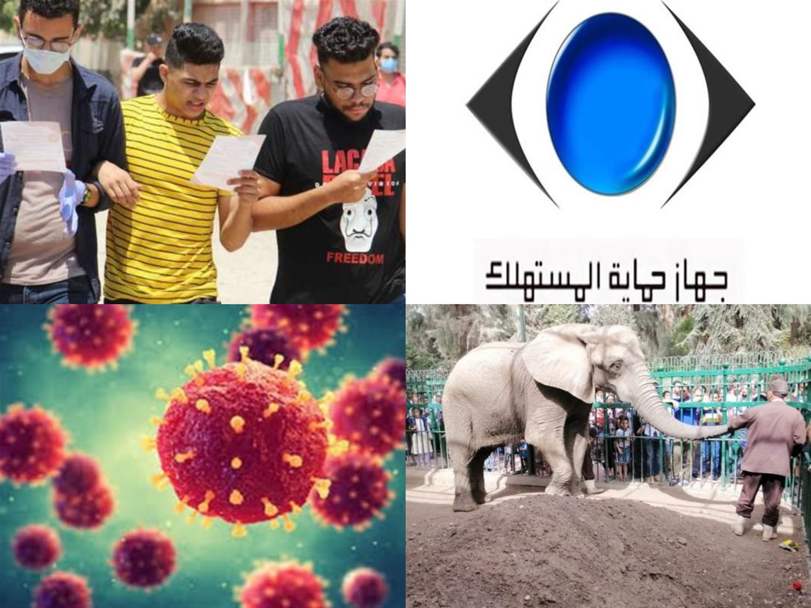 أخبار التوك شو