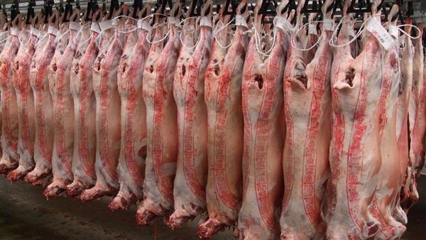 الأوقاف: بدء توزيع لحوم الأضاحي دون أي مصروفات الخميس