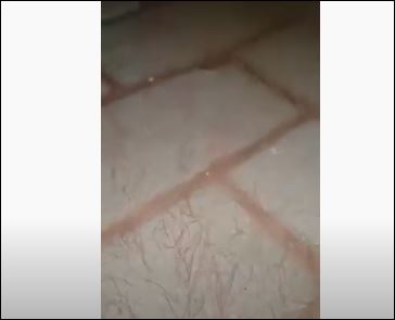 صورة من الفيديو