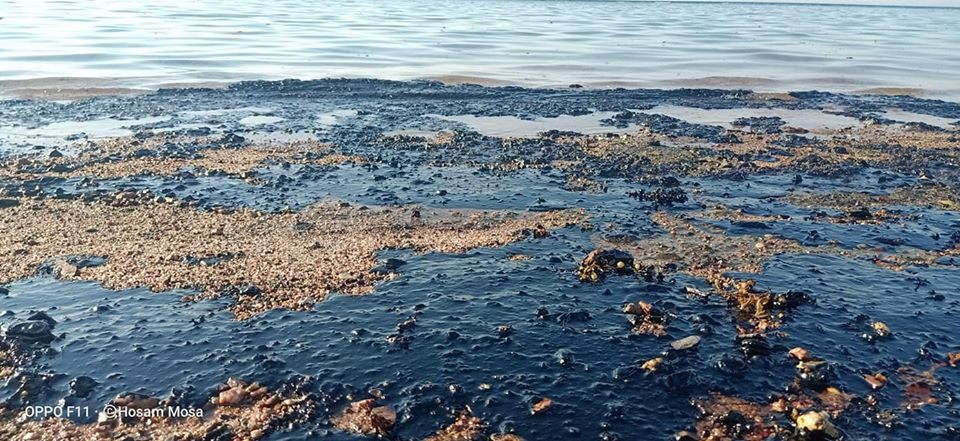 التلوث البترولي بشواطئ رأس غارب